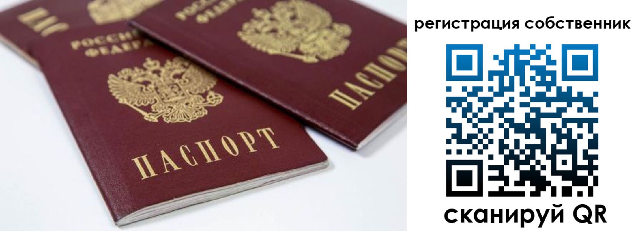 прописка для школы в Чистополье